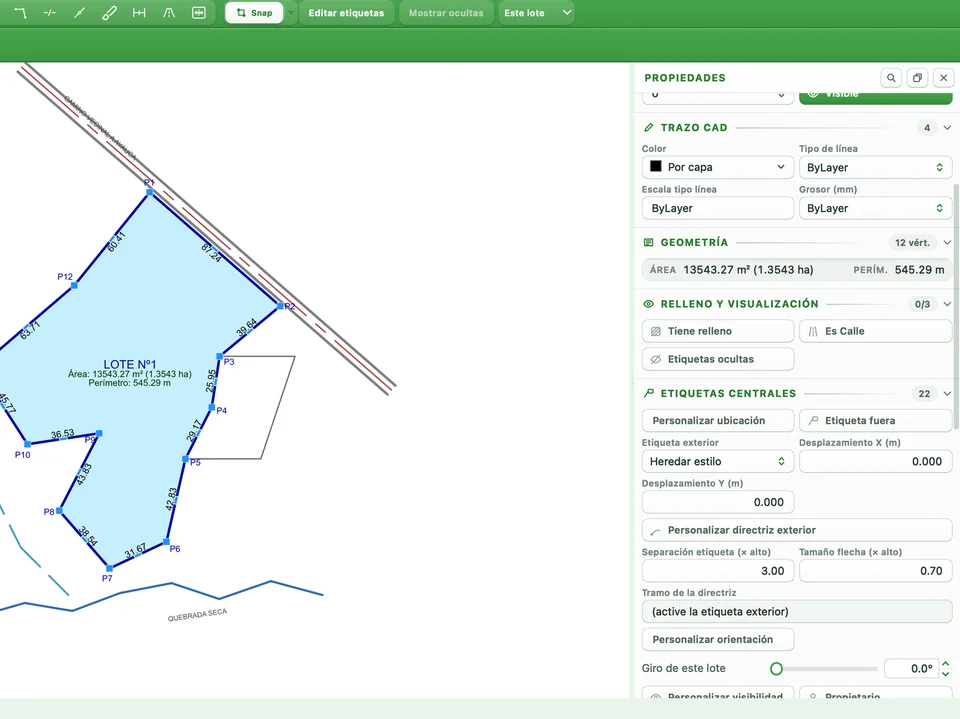 Propiedades del lote, sección Etiquetas centrales