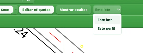 Selector de alcance Este lote o Este perfil